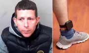 Tagged Burglar Jailed After £100k Raid Foiled by Electronic Monitoring