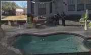 Texas Toddler Sisters Drown After Sneaking Into Backyard Swimming Pool