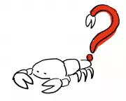 The Guardian's Thursday Quiz Tests General Knowledge and Topical News Trivia