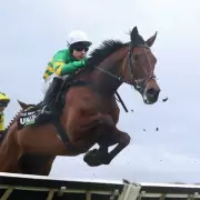 The New Lion Emerges as Champion Hurdle Favourite After Constitution Hill Withdrawal