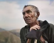 The Shepherd and the Bear Review: A Gripping Tale of Survival and Conflict