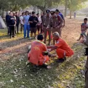Third Tourist Killed by Same Bull Elephant in Thailand's Khao Yai National Park