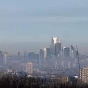 Tiny NYC Apartment Tour Sparks Debate Over Missing Toilet