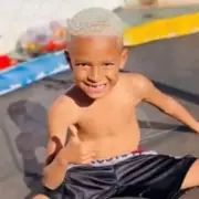 Tragic Tick Bite Claims Life of 8-Year-Old Boy in Brazil