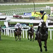 Trainer Confident Marine Nationale Will Defend Cheltenham Crown Despite Defeat