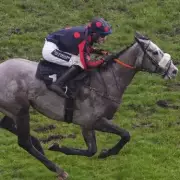 Trainer Dawson Rules Out Cheltenham for A Likeable Rogue, Rejects Sale Offers