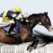 Trainer's Heartfelt Tribute to Cheltenham Festival Hero Chief Dan George After Death at 26