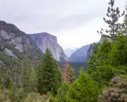 Trump Nominates Hospitality Executive with Yosemite Trademark History to Lead National Park Service