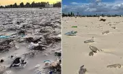 Tunisian Holiday Beaches Blighted by Plastic Waste, Tourists Shocked