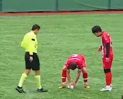 Turkey's CPR Seagull Incident Sparks Football Safety Debate