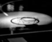 Tuskegee Basketball Coach Handcuffed by Police After Game, Sparking Outrage