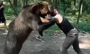 Tyson Fury's Comeback Opponent Wrestles Bear in Extreme Training Video