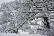UK Braces for Continued Wintry Weather with Snow and Ice Warnings