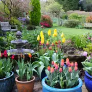 UK Gardeners Urged to Delay Planting Due to Wet Winter Conditions
