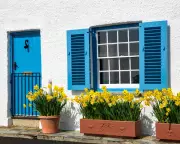 UK Housing Market Sees Strong Rebound with Record Low-Deposit Mortgages