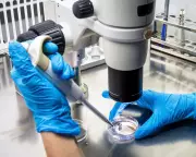 UK's £54m Bid for Global Science Talent Lags Behind Rivals