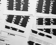 US Lawmakers Accuse DoJ of Epstein Cover-Up Amid Global Corruption Decline