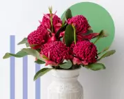 Valentine's Day Flowers: The Environmental Cost of Imported Blooms
