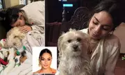 Vanessa Hudgens Mourns Beloved Dog Darla's Passing in Heartbreaking Tribute