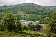 Welsh Village's Grassroots Victory: How Community Action Saved a Forest
