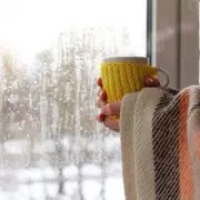 Which? Experts Reveal Simple Window Trick to Slash Energy Bills This Winter