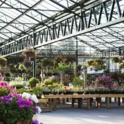 Woburn Sands Garden Centre to Close Permanently in 2026 After Financial Struggles