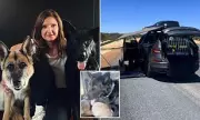 Woman Stranded in 40C Heat Accuses Roadside Assistance of 'Leaving Her to Die' Over Pet Rule