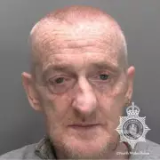 XL Bully Owner Jailed After Dog Savages Child in Llandudno Junction Attack