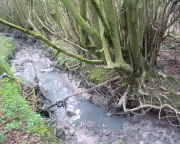 Yorkshire Water Fined Over £700,000 for Repeated Sewage Pollution in Derbyshire