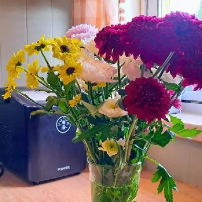 10-Second Flower Hack: Keep Cut Blooms Vibrant for Weeks, Not Days