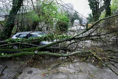 Balkan Blizzard Batters Region: Schools Shut, Power Cut, Roads Blocked