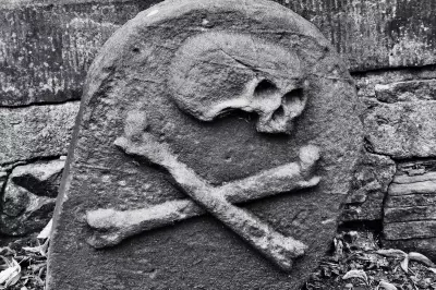 Black Death's Surprising Impact: Plant Diversity Plummeted, Study Reveals