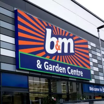 B&M's £8 Solar Garden Lights Illuminate Spring Gardens with Stunning Crystal Effects