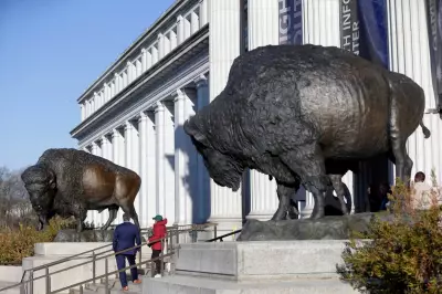 Bronze Bison Statues Unveiled for America's 250th Birthday Celebration