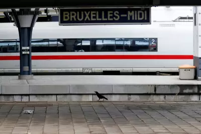Brussels Midi Station Evacuated Over Suspicious Bags, Disrupting Key European Rail Hub