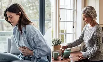 Cannabis Compounds CBD and CBG Show Promise in Reversing Fatty Liver Disease