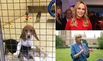 Celebrities and MPs Demand Closure of UK's Only Beagle Testing Facility