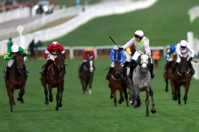 Cheltenham Festival 2026: Full Schedule, Race Card and Viewing Details