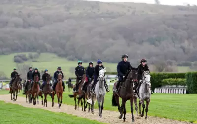 Cheltenham Festival Day One Weather Forecast: Cloudy with Light Rain Expected