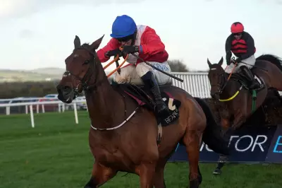 Cheltenham Festival Faces Scrutiny After Four Horse Deaths Prompt RSPCA Action