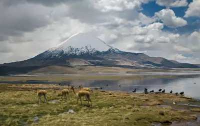 Chile's Environmentalists Brace for Battle as New President Threatens Protections
