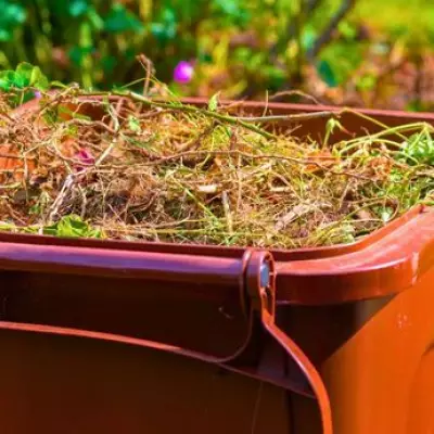 Compost Bin Hack: Use Paper Shopping Bags to Prevent Spring Pests
