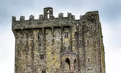 Cork's Culinary and Cultural Gems: A Guide to Food, Stays, and Sights