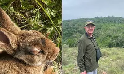 Deadly Rabbit Virus Threatens to Wipe Out 90% of UK Wild Population