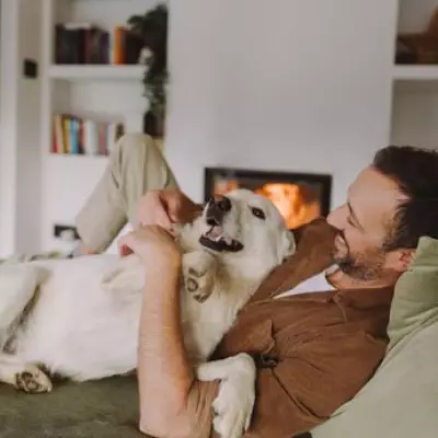 Dog Behaviourist Reveals Five Major Signs Your Canine Companion Loves You