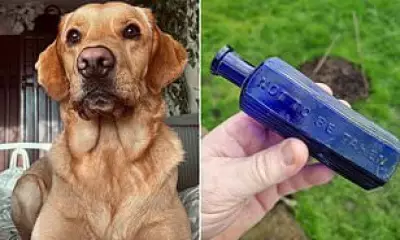 Dog Unearths Poison Bottle Linked to 1865 Murder That Ended Public Hangings