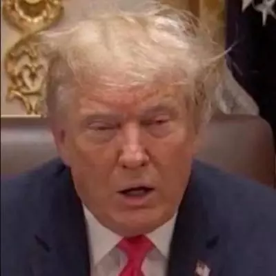 Donald Trump Reacts to Tiger Woods' DUI Arrest After Florida Car Crash