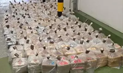 Drug Smugglers Fly Scientists to UK to Extract Cocaine from Bonded Materials