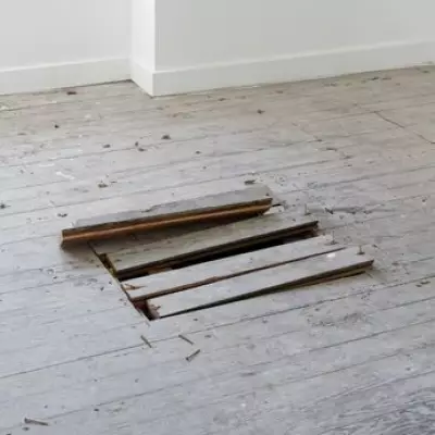 Essex Homeowner's Floorboard Renovation Reveals Trapped Fox