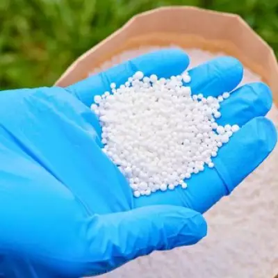 Expert Reveals Simple Iron Sulphate Trick for Moss-Free Lawns This Spring